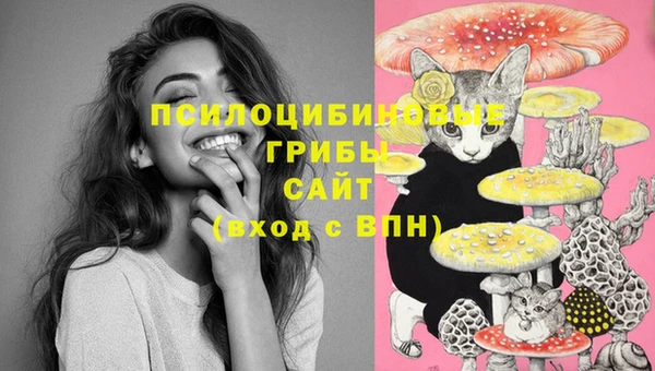 МДМА Переславль-Залесский