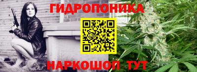 скорость Заводоуковск
