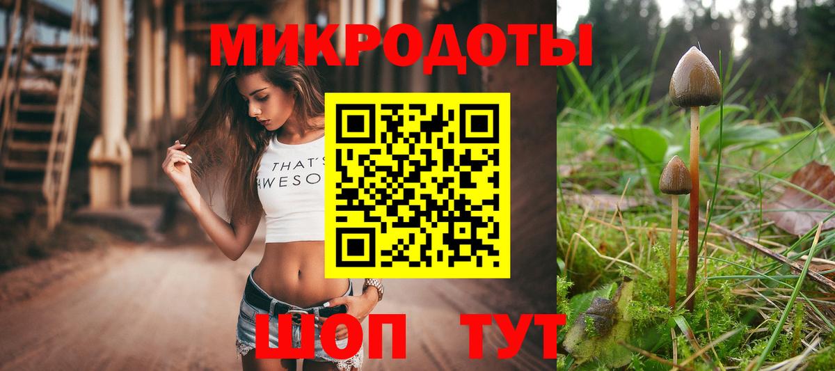 Галлюциногенные грибы Psilocybine cubensis Тюмень