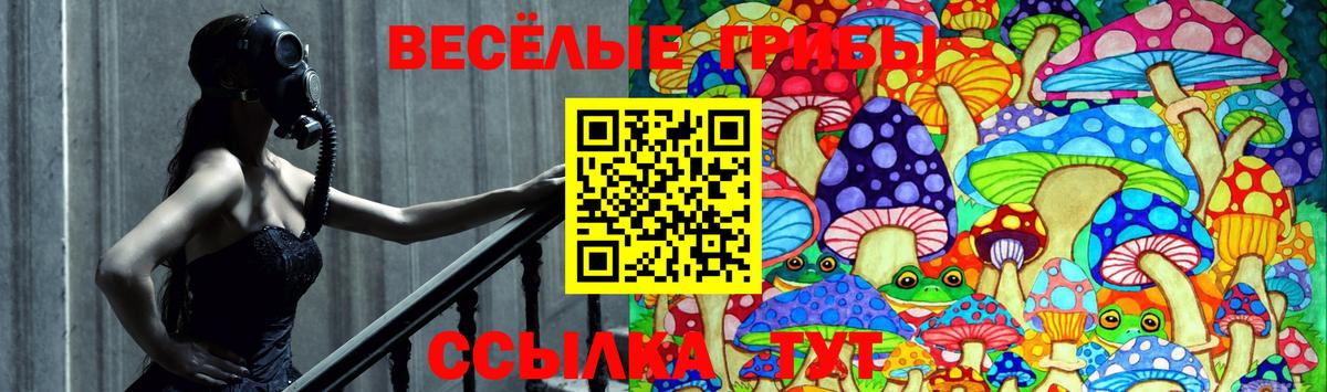 Псилоцибиновые грибы мухоморы  Вход с VPN  магазин продажи   Тюмень 