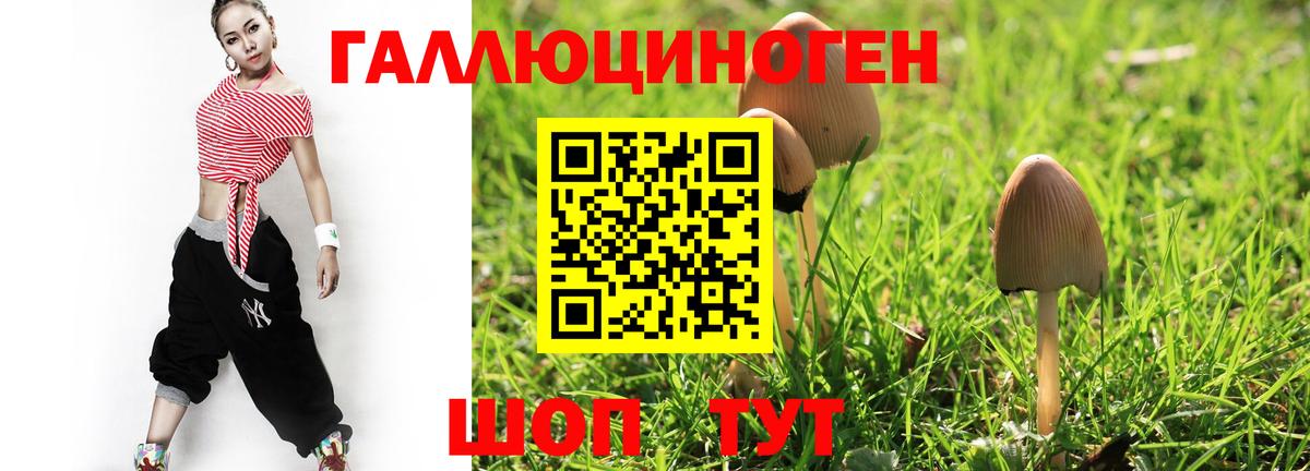Галлюциногенные грибы прущие грибы  Тюмень  Псилоцибиновые грибы Psilocybe 